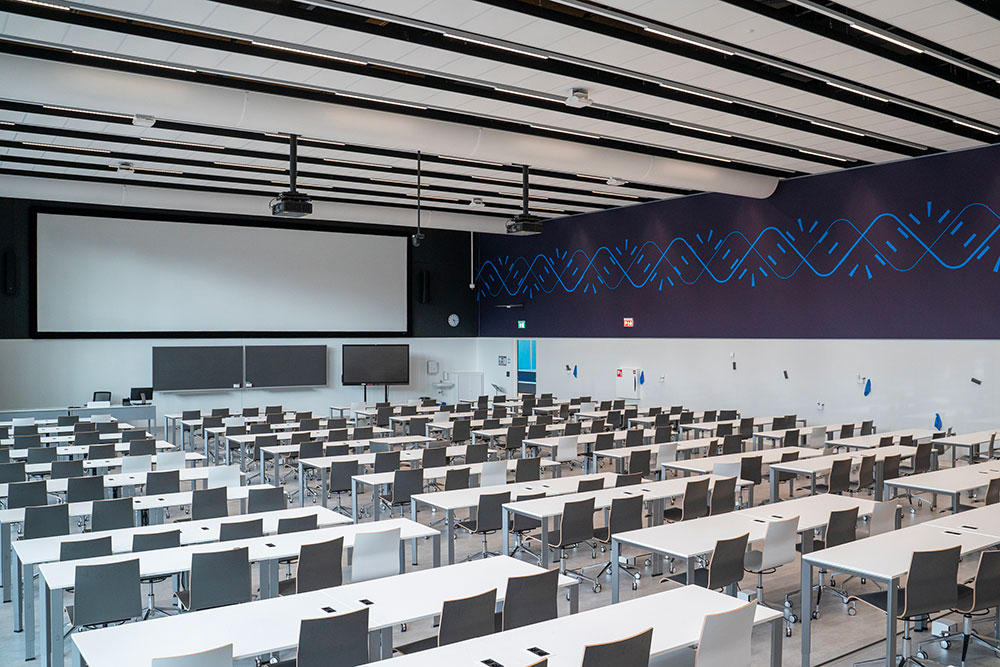 Chameleon-CustomWB-02 Custom WB